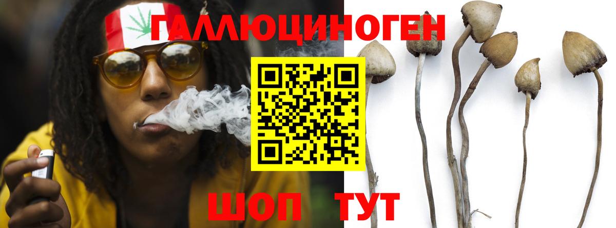 Псилоцибиновые грибы GOLDEN TEACHER  Вход с VPN  Менделеевск 