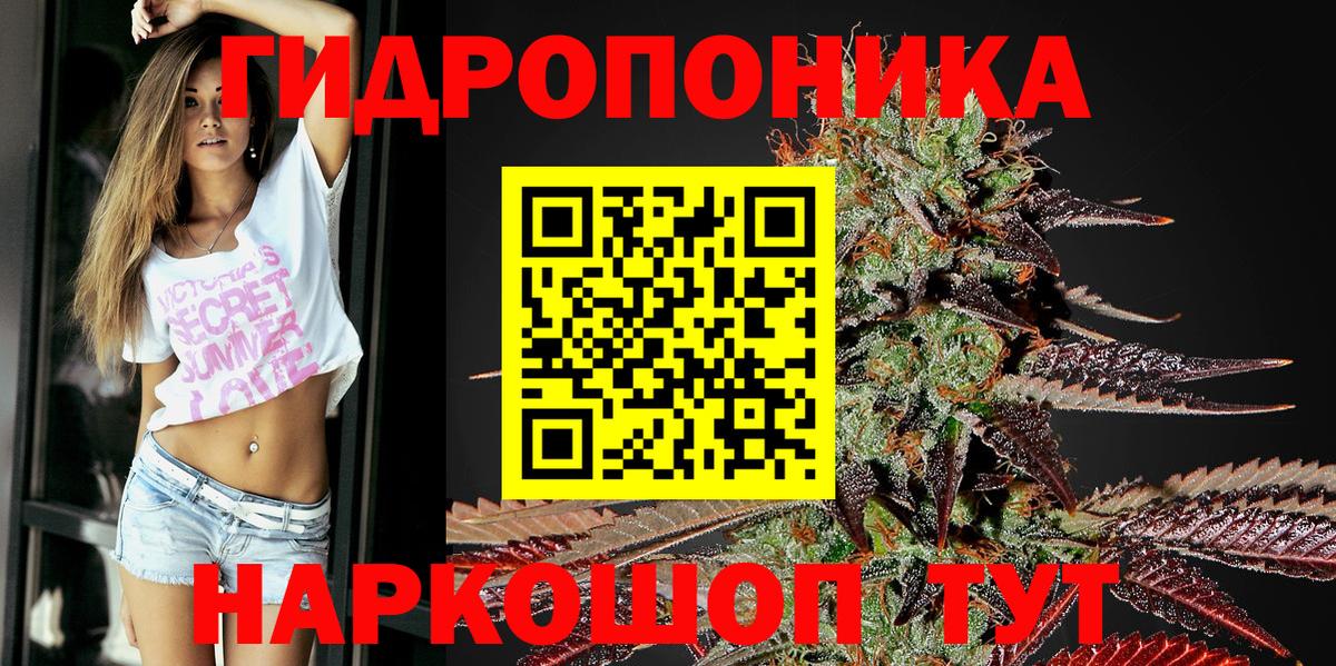 Каннабис гибрид Менделеевск